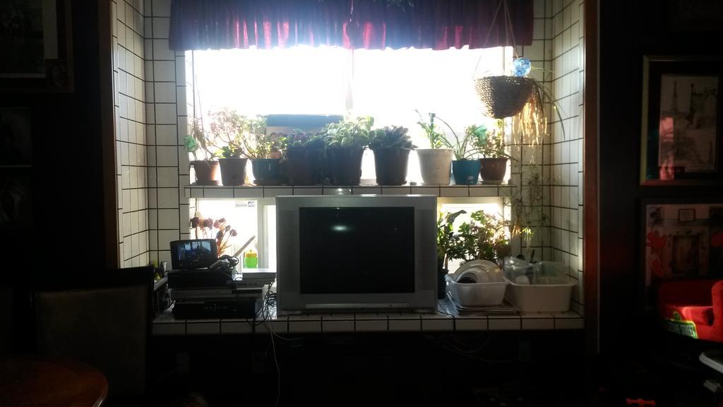 Nisku Guest House Экстерьер фото